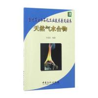 天然气水合物-当代石油和石化工业技术普及读本