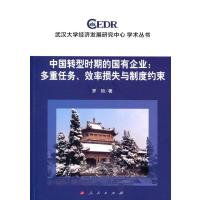 中国转型时期的国有企业:多重任务.效率损失与制度约束