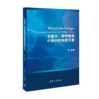 卡里尔·菲利普斯小说中的电影元素