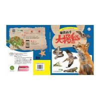 捕食高手大揭秘-动物家族大揭秘