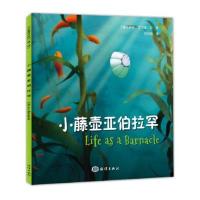 小虅壶亚伯拉罕