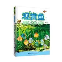 观赏鱼-识别.选购.养护