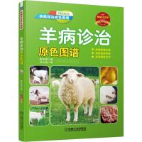羊病诊治原色图谱-疾病诊治原色图谱