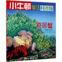 寄居蟹-小牛顿魔法科普馆