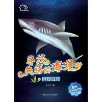 巨鲸城邦-寻找失落的海洋-10