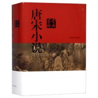 唐宋小说鉴赏辞典