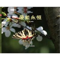 爱能永恒