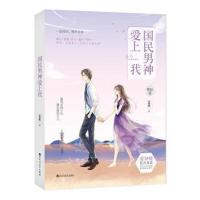 终结篇-国民男神爱上我