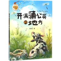 开满蒲公英的地方-汤素兰暖爱童话