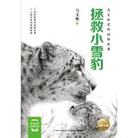 拯救小雪豹-马文秋荒野动物故事