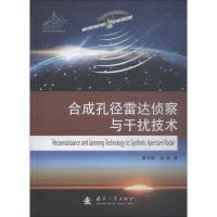 合成孔径雷达侦察与干扰技术