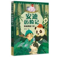 探秘熊猫王国-安迪历险记