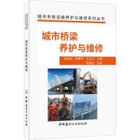 城市桥梁养护与维修