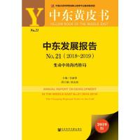 2018-2019-中东发展报告-变动中的海湾格局-N0.21-2019版