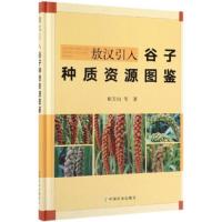 敖汉引入谷子种质资源图鉴
