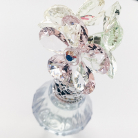 JILL STUART吉尔斯图亚特/花钻香水(幻漾霓光)50ml/淡香水/花果香调/女士香水PATY聚会