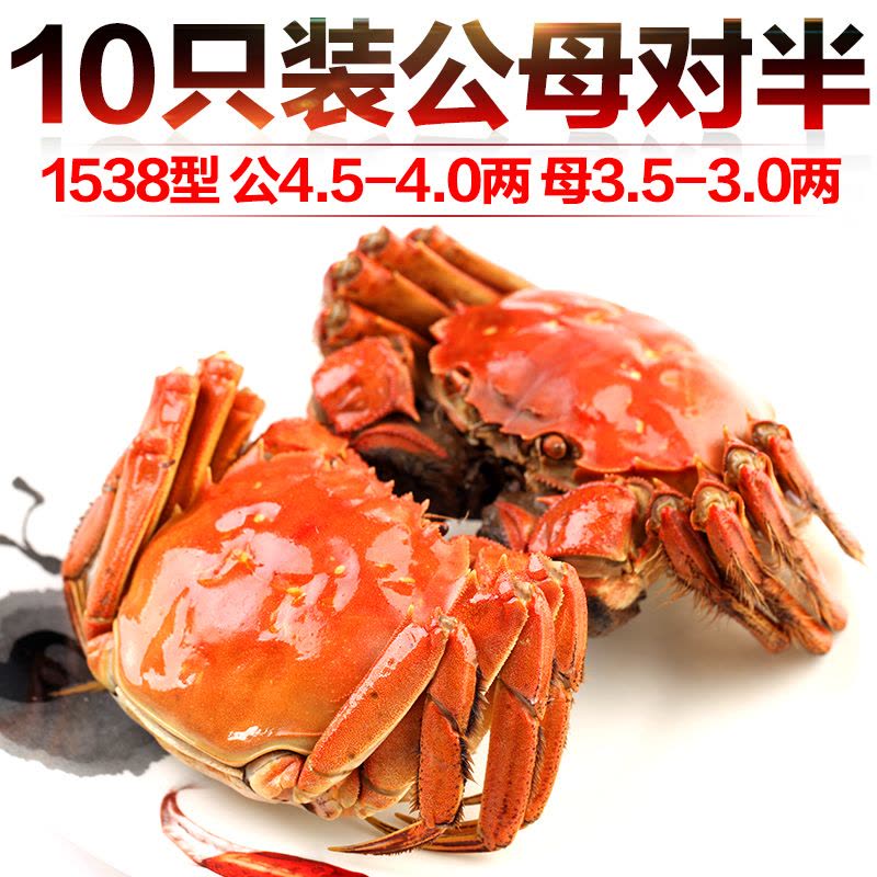 【1538型】现货阳澄湖苏蟹皇大闸蟹公蟹4.5-4.0两 母蟹3.5-3.0两5对10只礼盒装图片