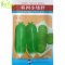 我要发芽 蔬菜种子 韩国小矮胖水果萝卜种子 皮肉绿色 甜脆可口 耐热 5克/包