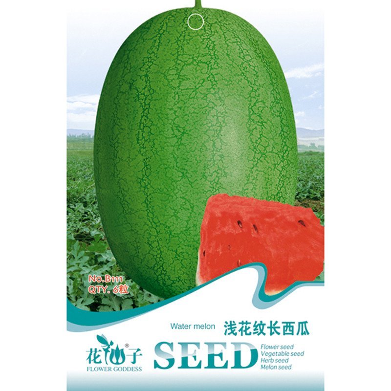 我要发芽园艺用品我要发芽水果种子浅花纹长西瓜种子绿皮西瓜红瓤西瓜种子超甜6粒 包 价格图片品牌报价 苏宁易购我要发芽园艺休闲旗舰店