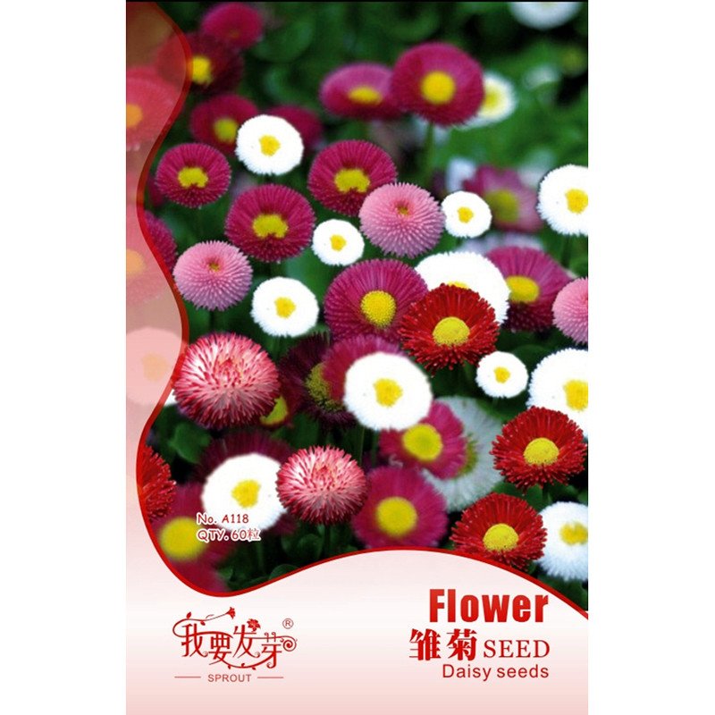 我要发芽园艺用品我要发芽花卉种子雏菊种子春菊马兰头花玛格丽特延命菊60粒 包 价格图片品牌报价 苏宁易购我要发芽园艺休闲旗舰店 我要发芽园艺用品我要发芽花卉种子雏菊种子春菊马兰头花玛格丽特延命菊60粒 包 价格图片品牌报价 苏宁易购我要发芽园艺休闲旗舰店