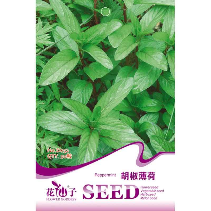 我要发芽花卉种子胡椒薄荷种子水薄荷野薄荷留兰香香草种子50粒 包参数配置 规格 性能 功能 苏宁易购