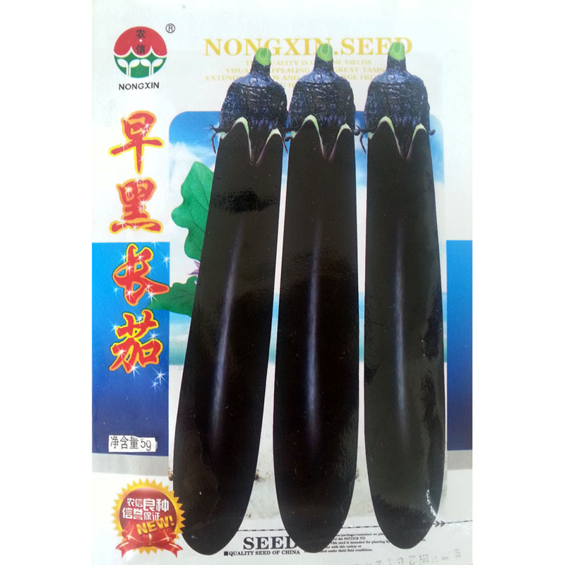 我要发芽 蔬菜种子 早黑长茄种子 茄子 黑紫长茄 果肉细嫩籽少松软 特早熟 5克/包