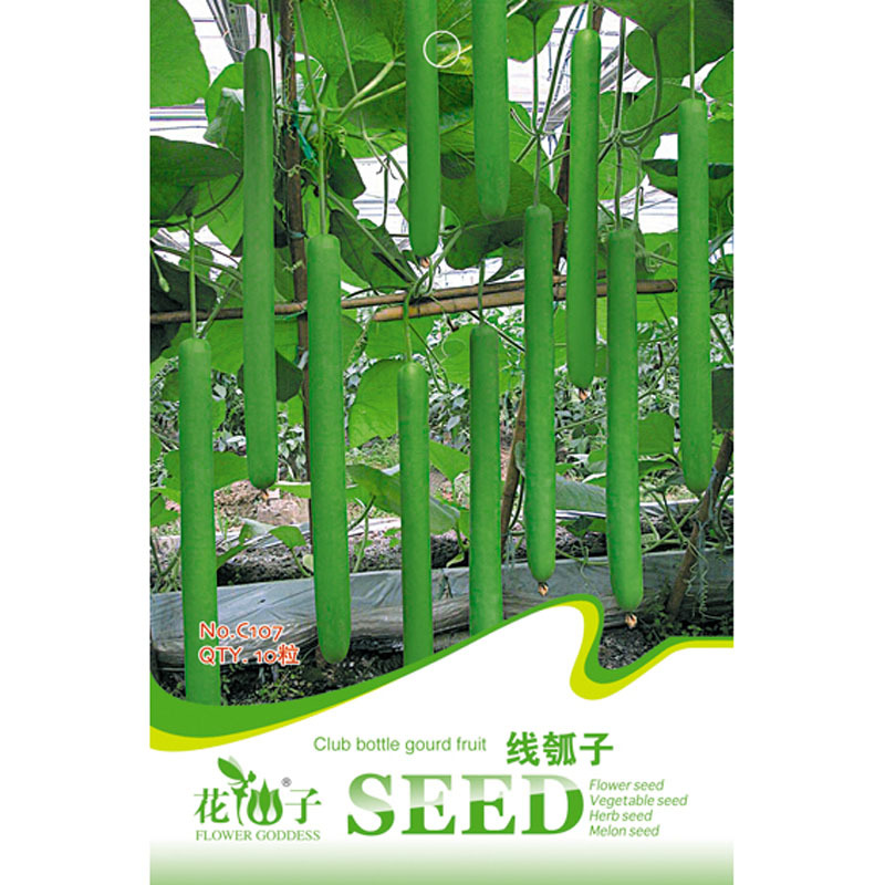 我要发芽 蔬菜种子 线瓠子种子 庭院线瓠 瓜果种子 庭院盆栽 10粒/包