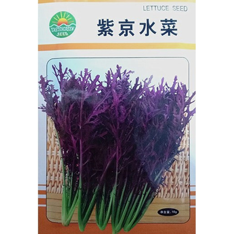 我要发芽园艺用品蔬菜种子紫京水菜种子叶柄浅紫红色10克 包 价格图片品牌报价 苏宁易购我要发芽园艺休闲旗舰店