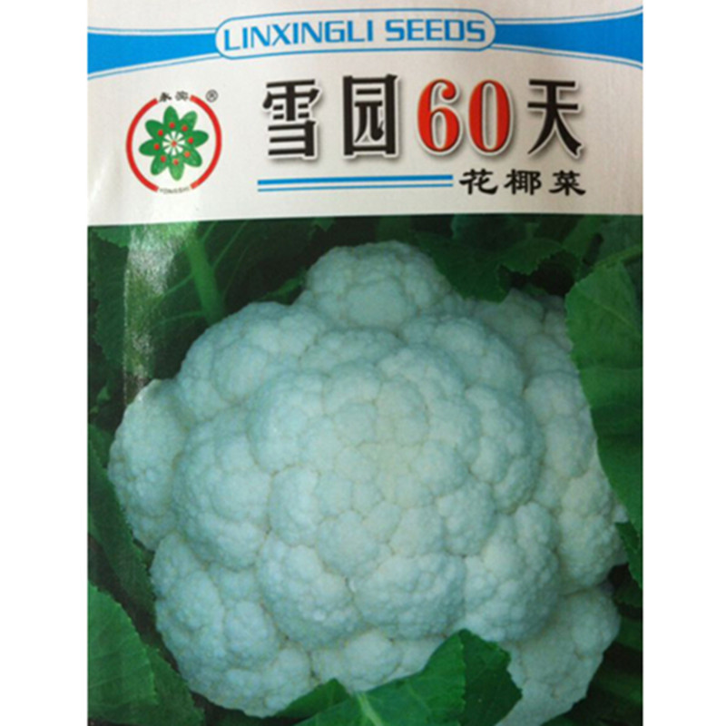 蔬菜种子 雪园60天-花椰菜种子 白菜花 花菜营养价值高 1.2克/包