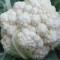 蔬菜种子 雪园60天-花椰菜种子 白菜花 花菜营养价值高 1.2克/包