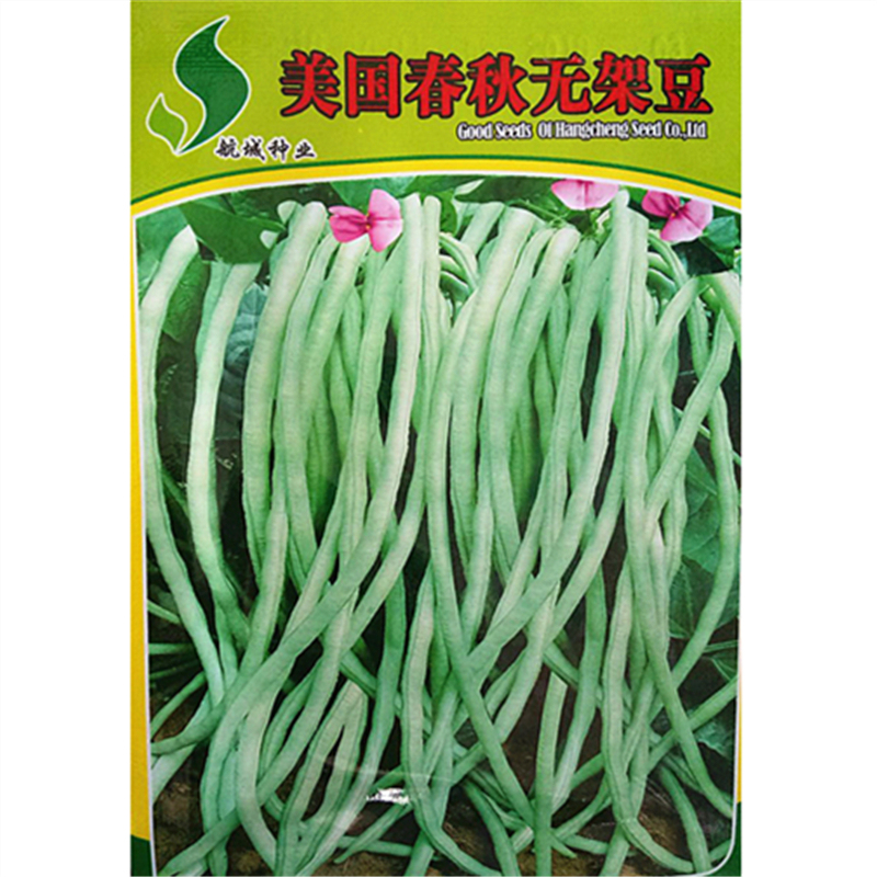 蔬菜种子新美国春秋无架豆种子豆角种子豇豆肉厚耐老化15g包