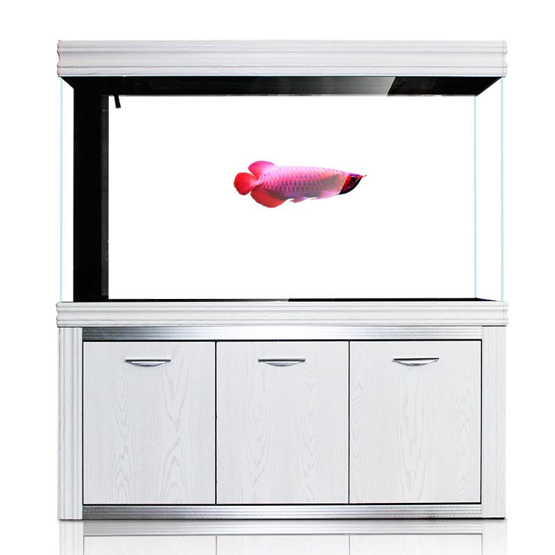 汉霸 超白玻璃水族箱 方形底过滤免换水欧式鱼缸图片