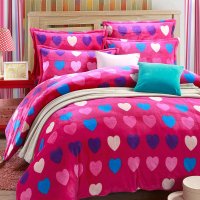 白马王子 韩版公主保暖加厚双层法兰绒四件套珊瑚绒三件套床品套件