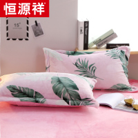 恒源祥加厚法兰绒枕套冬季保暖珊瑚绒法莱枕头套单人4874cm一对装
