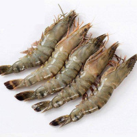 金御丰海鲜 马来西亚黑虎虾 800g 18-23只 海虾大虾 海鲜水产