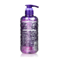 Reveur 紫色瓶 润泽无硅油洗发水 500ml保湿滋润柔顺型 适合所有发质 成人可用深层清洁 无硅油