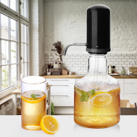 莱珍斯按压式水瓶水壶冷水壶饮水壶果汁壶手压式水具