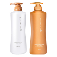 安利(Amway)丝婷润泽保湿洗发露护发素蓬松温和清洁洗发水柔顺秀发洗护套 洗护套 750ml