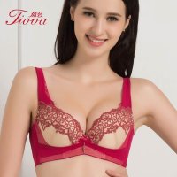 体会内衣专柜正品15秋冬新品蕾丝中厚款超聚拢调整型美背文胸