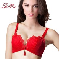 体会内衣无钢圈生理围 秋冬新款刺绣中国结中厚小胸聚拢调整文胸BS0841