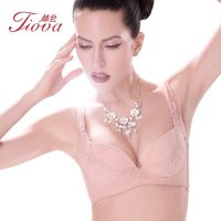 体会内衣刺绣蕾丝上薄下厚立体模杯小胸聚拢调整型文胸WBS0151