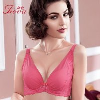 体会2015秋冬新品深V小胸聚拢蕾丝提花调女式整型文胸