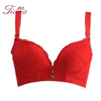 体会内衣专柜款淡雅提花蕾丝小胸升杯侧收 聚拢 加厚调整型文胸BS1031