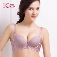 体会专柜同款简约无痕小胸厚款百搭光面超聚拢收副乳调整型文胸WBS0091
