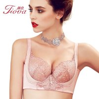 体会内衣专柜正品春季蕾丝薄款U型上托全包裹聚拢调整型文胸BQ0952