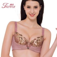 体会内衣 刺绣宝石 大胸全罩杯软棉围 聚拢收副乳文胸WBQ0242