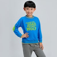 秋季新款男童纯棉休闲百搭纯棉卫衣 14XYYAWB19