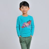男童秋冬款卡通纯棉打底衫 灰太狼极速飞车13XYYAWB02