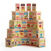 网童奇贝100粒多米诺骨牌儿童积木制玩具3-6周岁认知图学习水果动物...