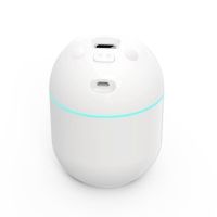 赢车载加湿器[联系在线客服]评价20字以上并上传3-5张产品实拍图 赠品不支持购买只做展示,颜色随机